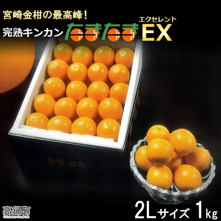 楽天市場 ふるさと納税 先行予約 宮崎金柑の最高峰 完熟きんかん たまたまex 1kg R4年配送 22年2月上旬から3月上旬迄に順次出荷します 2l エクセレント 金柑 キンカン 果物 フルーツ モンマートあおき 宮崎県 高鍋町 常温 宮崎県高鍋町
