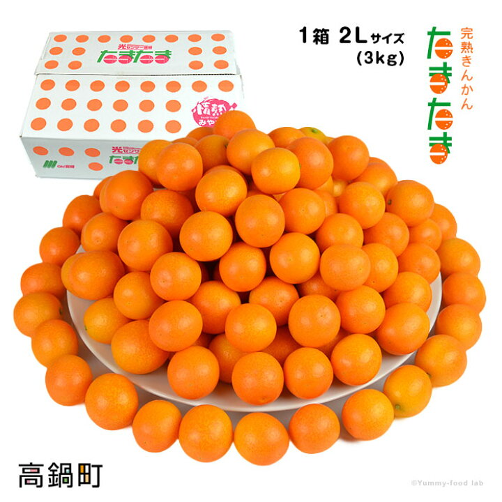 楽天市場 ふるさと納税 先行予約 厳選 完熟きんかん たまたま 3kg R5年配送 23年2月上旬から3月上旬迄に順次出荷します 金柑 キンカン 果物 フルーツ モンマートあおき 宮崎県 高鍋町 常温 宮崎県高鍋町