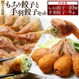 【ふるさと納税】TV番組で餃子日本一獲得！【歳末感謝!】【宮崎空港で大人気!】 ＜餃子の馬渡馬渡のもっちり餃子40個と手羽餃子9本セット＞翌月末迄に順次出荷 餃子の馬渡 お取り寄せ ぎょうざ ギョウザ 餃子 宮崎餃子 宮崎県 高鍋町【冷凍】