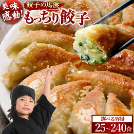 【ふるさと納税】【歳末感謝!】【宮崎空港で大人気!】【選べる内容量】＜馬渡のもっちり 餃子 25個／ 80個／160個／240個 ＞ 翌月末迄に順次出荷 餃子の馬渡 ぎょうざ ギョーザ おかず もっちり 焼餃子 宮崎餃子 国産 特産品 宮崎県 高鍋町【冷凍】