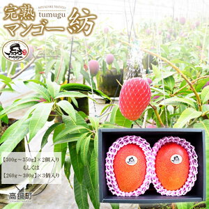 yӂ邳Ɣ[Łz{茧Y n}S[a (300g`350g 2͖260g`300g 3) 2026N7{`9{ɏo ʕ t[c }S[  Yi n Y {