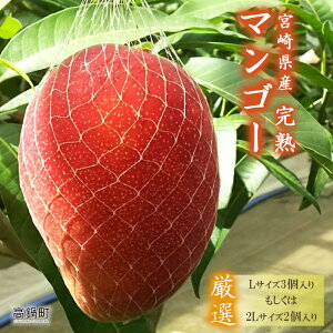 yӂ邳Ɣ[Łzys\z{茧Y n}S[(LTCY32LTCY2)2026N4{`9{ɏo | ʕ ʎ t[c }S[  lC Yi n Y