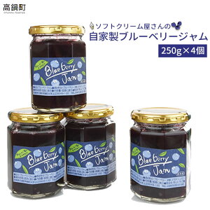ブルーベリー 冷蔵 ジャム コンフィチュールの人気商品 通販 価格比較 価格 Com
