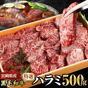 yӂ邳Ɣ[Łz{茧YјaIn~500g mFA2026N4ɏoׂ܂B͂ z  Yi T Lv {茧 璬 yⓀz