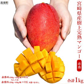 【ふるさと納税】予約受付＜宮崎県産完熟マンゴー［赤秀］合計1kg＞(4L)×2玉もしくは(2L)×3玉※選べません。※2020年6月〜8月上旬迄に順次出荷します。 贈答用 特産品 海と太陽 ヤミー・フードラボ 宮崎県 高鍋町【冷蔵】