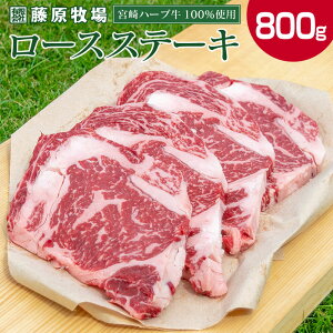 yӂ邳Ɣ[Łz{n[u [XXe[L v800gi200g×4j{茧Y Ԑg  n[u Y BY Ⓚ 
