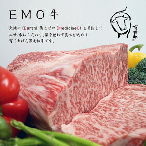 返礼品画像