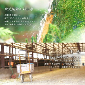 【ふるさと納税】エモー牛<極上仕上げハンバーグ20%増量1.8kg(150g×12個)>牛肉お肉特産品宮崎県新富町