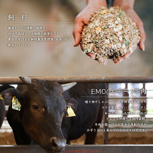 【ふるさと納税】エモー牛<極上仕上げハンバーグ20%増量1.8kg(150g×12個)>牛肉お肉特産品宮崎県新富町