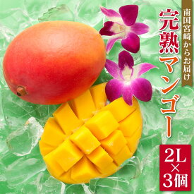 【ふるさと納税】「南国宮崎からお届け」完熟マンゴー　中玉2Lサイズ3個 フルーツ 果物 宮崎県産 送料無料　※2020年6月上旬〜完熟収穫後までに出荷