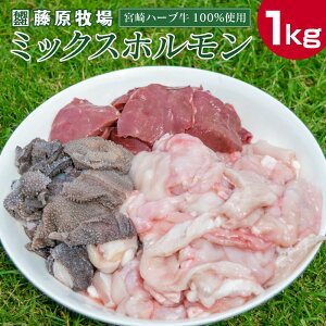 yӂ邳Ɣ[ŁzY ~bNXzi200g×5pbNjv1kg {n[u {茧Y  ~m MA Z}C nc V} Ⓚ  ŕ֗ 