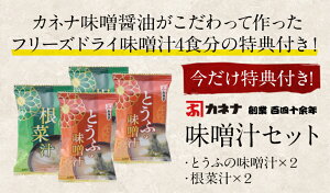 【ふるさと納税】今だけおまけ付き!ヒノヒカリ20kg送料無料無洗米宮崎県産平成30年産早場米ひのひかりお米宮崎県新富町
