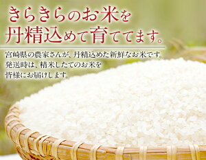 【ふるさと納税】今だけおまけ付き!ヒノヒカリ20kg送料無料無洗米宮崎県産平成30年産早場米ひのひかりお米宮崎県新富町
