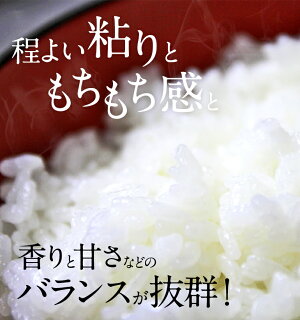 【ふるさと納税】今だけおまけ付き!ヒノヒカリ20kg送料無料無洗米宮崎県産平成30年産早場米ひのひかりお米宮崎県新富町