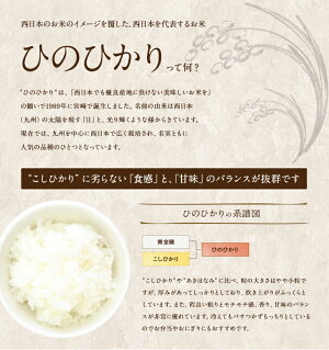 【ふるさと納税】今だけおまけ付き!ヒノヒカリ20kg送料無料無洗米宮崎県産平成30年産早場米ひのひかりお米宮崎県新富町