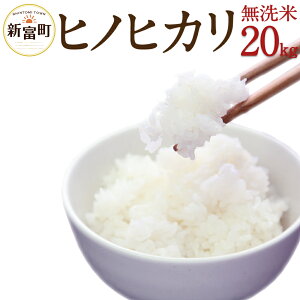 【ふるさと納税】今だけおまけ付き!ヒノヒカリ20kg送料無料無洗米宮崎県産平成30年産早場米ひのひかりお米宮崎県新富町