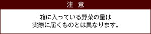 【ふるさと納税】野菜ソムリエが選ぶ旬のこゆ野菜セット6ヵ月コース定期便5〜8種類送料無料盛り合わせ国産