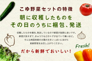 【ふるさと納税】野菜ソムリエが選ぶ旬のこゆ野菜セット※お試し版5〜8種類送料無料盛り合わせ国産