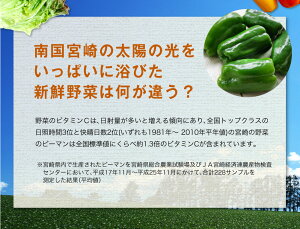【ふるさと納税】野菜ソムリエが選ぶ旬のこゆ野菜セット※お試し版5〜8種類送料無料盛り合わせ国産