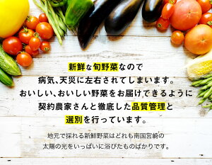 【ふるさと納税】野菜ソムリエが選ぶ旬のこゆ野菜セット※お試し版5〜8種類送料無料盛り合わせ国産