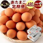 ＜児湯養鶏自慢の卵＞ネッカリッチ赤たまご「児湯一番」 計480個 （20個入×2箱）×12か月定期便