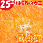 【ふるさと納税】宮崎県産 柑橘の女王せとか 25玉入り 平成31年2月中旬より受付順に出荷 ※収穫によるズレあり みかん ミカン 蜜柑 フルーツ