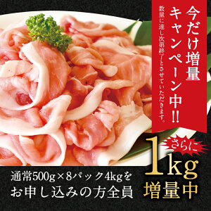 【ふるさと納税】今だけ1キロ増量!宮崎県産豚肉切り落し5kg5000g(500g×10パック)冷凍切落し切り落とし豚肉特産品宮崎県新富町送料無料
