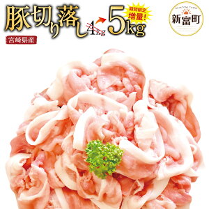【ふるさと納税】今だけ1キロ増量!宮崎県産豚肉切り落し5kg5000g(500g×10パック)冷凍切落し切り落とし豚肉特産品宮崎県新富町送料無料