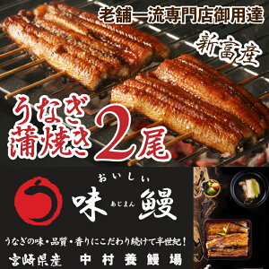 返礼品画像