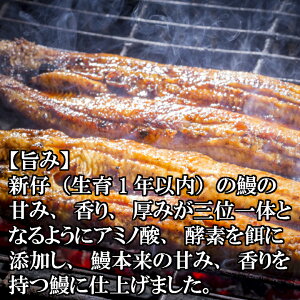 返礼品画像
