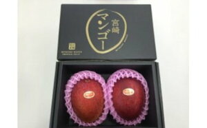 宮崎県産_完熟_マンゴー