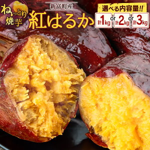 yӂ邳Ɣ[ŁzĂInug͂邩vv1`3kg Y VxYm12`5oׁn܂ ˂ƂĈ C