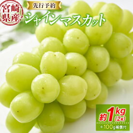 【ふるさと納税】＜先行予約＞シャインマスカット 2房 約1kg+100g補償付 ※2026年8月下旬〜