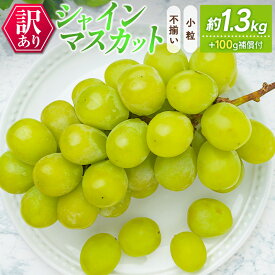 【ふるさと納税】訳あり［不揃い・小粒］シャインマスカット 4パック 約1.3kg+100g補償付 ご家庭用 宮崎県新富町産 製菓用 先行予約 ※2026年8月下旬〜