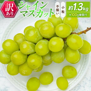 yӂ邳Ɣ[Łz󂠂msEnVC}XJbg 4pbN 1.3kg+100g⏞t ƒp {茧VxY ٗp s\ 2026N8{`