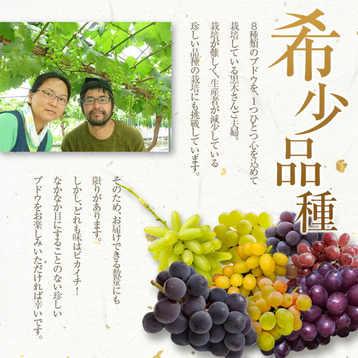 楽天市場】【ふるさと納税】朝採れ 旬の ぶどう セット 合計1kg以上(3 