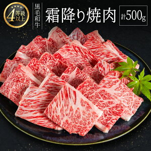 yӂ邳Ɣ[Łz4ȏいјa ~ ē v500g  BBQ Y {茧Y