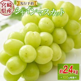 【ふるさと納税】＜先行予約＞シャインマスカット 3〜4房 約2.4kg+100g補償付 宮崎県産 ※2026年8月下旬〜