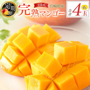 yӂ邳Ɣ[Łz{Yun}S[4L×1ʁv͂ցiS4jv4 Y Y ʕ t[c { Yn 