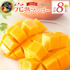 【ふるさと納税】宮崎特産「完熟マンゴー4L×2玉」お届け定期便（全4回）計8玉 特産 国産 果物 フルーツ 旬 産地直送 大玉