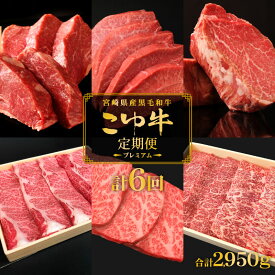 【ふるさと納税】こゆ牛プレミアム定期便＜全6回＞ 1年間 宮崎県産 黒毛和牛 偶数月配送 ※2026年2月開始 シャトーブリアン 希少部位を含む和牛6品