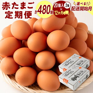 yӂ邳Ɣ[Łz_r[Ly[{^zJnIׂ!!{{̗lbJb`Ԃ܂uԁv v480 i20×2j×12