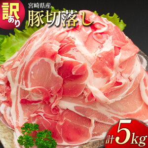 yӂ邳Ɣ[Łz_r[Ly[{^zIׂ!!u󂠂v{茧Y ؐؗ 5kg Y ؓ  lC 
