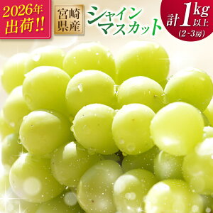 yӂ邳Ɣ[Łz2026Noׁs\ VC}XJbg 2`3[ v1kgȏ Y Ԍ 