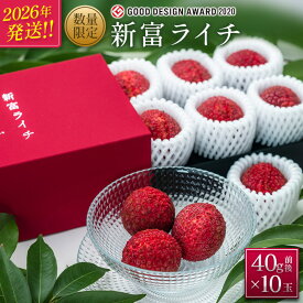 【ふるさと納税】［2026年発送］先行予約 希少！国産＜新富ライチ＞40g前後×10玉 国産 ブランド フルーツ 果物 贈答品