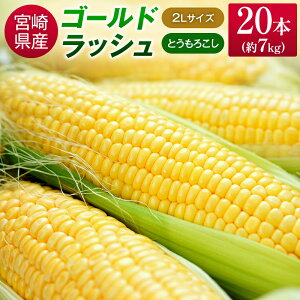 yӂ邳Ɣ[Łz{茧Y ̂ S[hbV 7kgi2LTCY×20{j 2026N5{Jn Ƃ낱 { 
