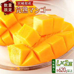 yӂ邳Ɣ[Łzʌ聄{茧Y n}S[L×2ʁiv620gȏj2026N4{zJn ϔ t[c 