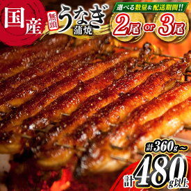 【ふるさと納税】＼レビューキャンペーン実施中／＜高評価!!＞選べる 数量 うなぎ 鰻楽 国産 蒲焼 2尾 3尾 人気 無頭 おすすめ 冷凍 簡単調理 個包装 鰻 魚介 贈答品 ギフト 贈り物