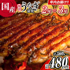 yӂ邳Ɣ[Łz_r[Ly[{^ȂN͂!!Iׂ  Ȃ Vy Y  2 3  ]  Ⓚ ȒP  V  i Mtg 