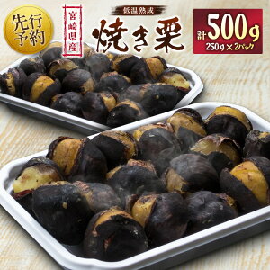 yӂ邳Ɣ[Łzs\񁄋{茧Y ቷnImĂInv500gi250g×2pbNj H̖o 